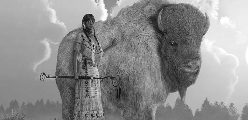  Woman standing beside a large buffalo